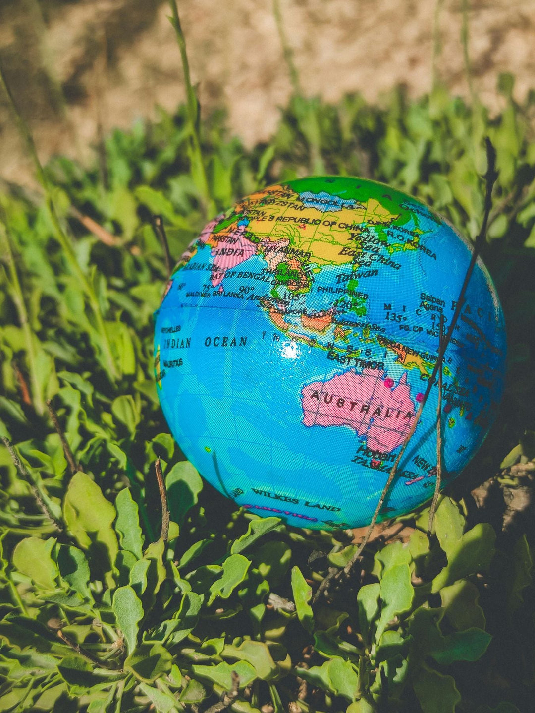 World Environment Day 2026:  Smarter Household Water Use with Wizso