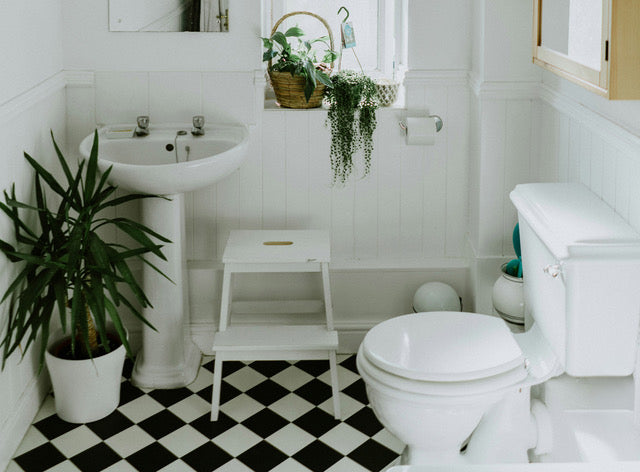 Reduce Water Usage in the Bathroom: Top Tips