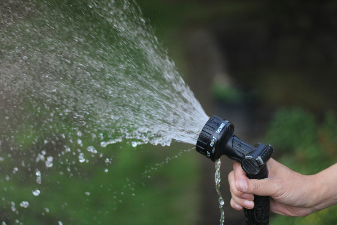 5 Easy Ways to Save Water at Home This Summer