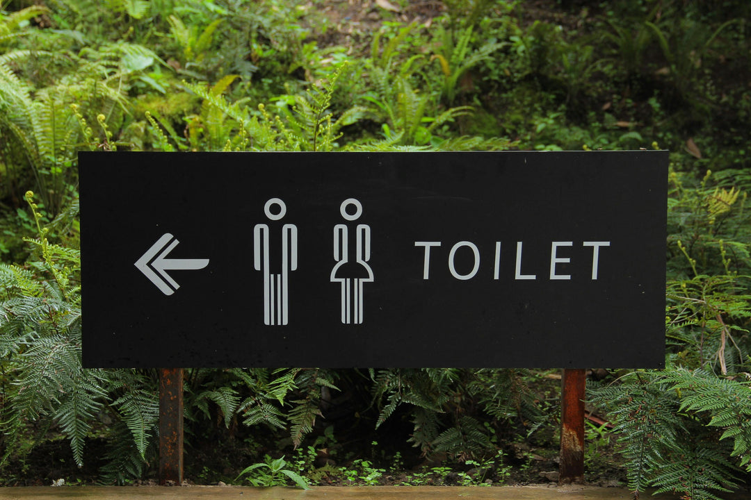 A Brief History of Toilets: From Ancient Flushes to Modern Bathrooms