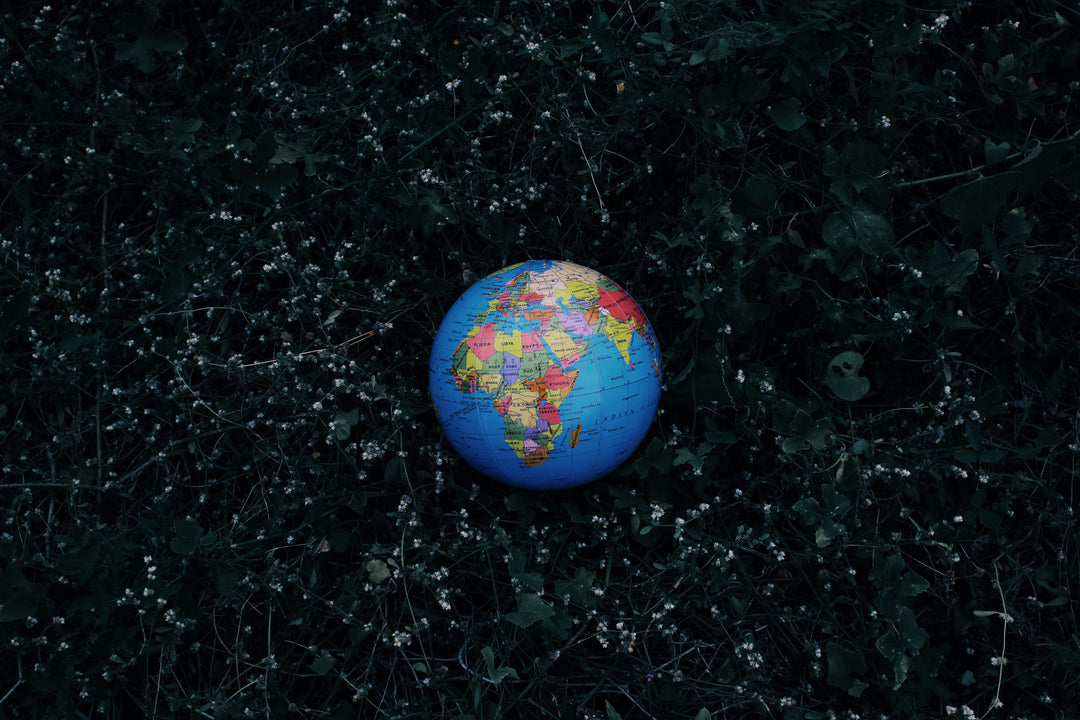 Earth Month: Simple Ways to Make a Big Impact