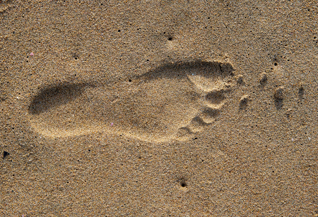 What Is a Water Footprint and Why Does It Matter?