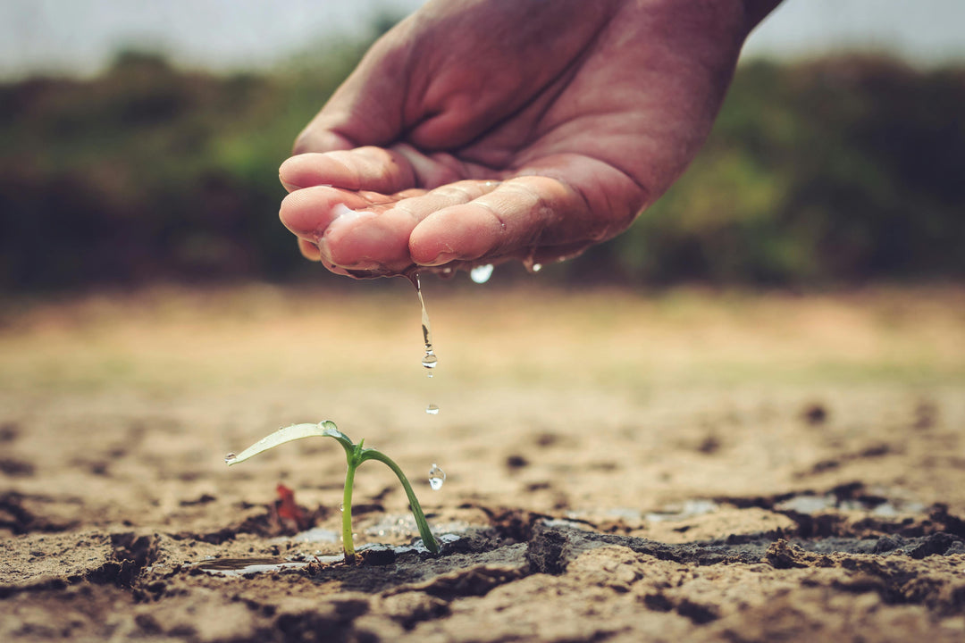 Water Saving Week 2026: Why It Matters More Than Ever&nbsp;